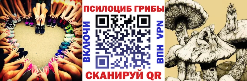 Псилоцибиновые грибы мицелий  МЕГА ссылки  Карабулак 
