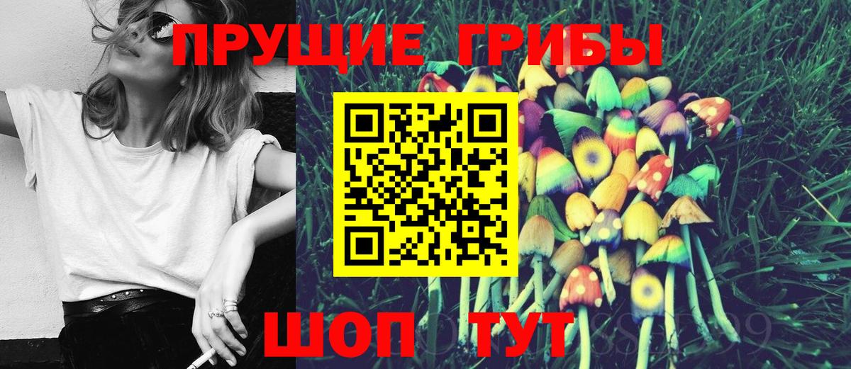 Псилоцибиновые грибы Magic Shrooms  Вход с VPN  Карабулак 